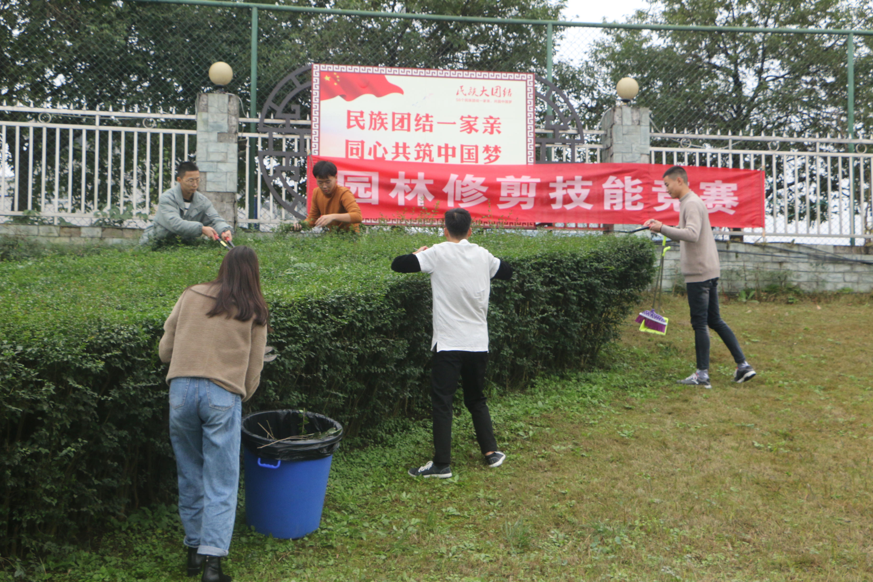 园林修剪竞赛1
