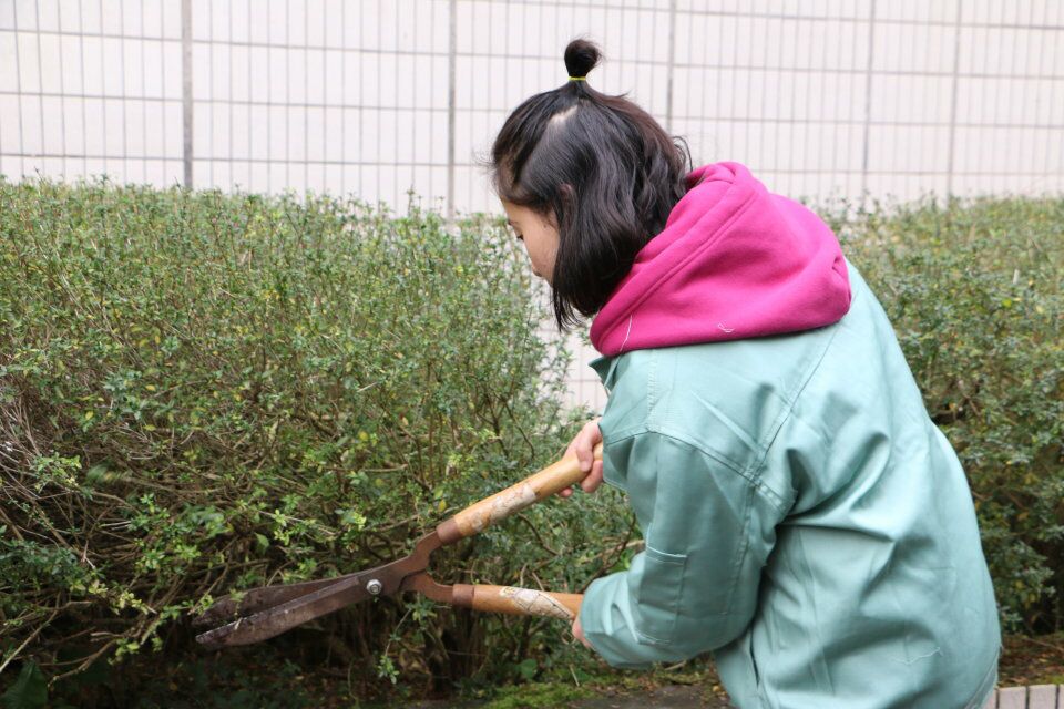 修剪